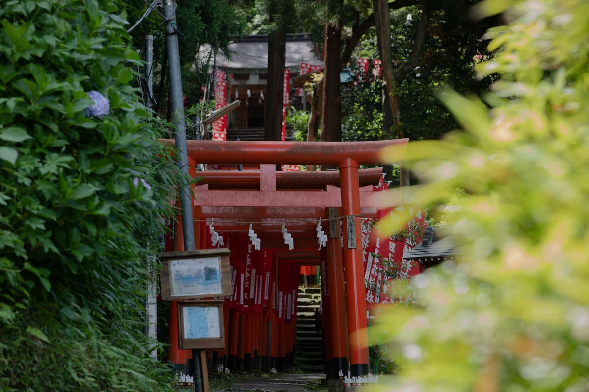 緑に囲まれた小道の先に続く朱色の鳥居と、その奥にある神社の社殿