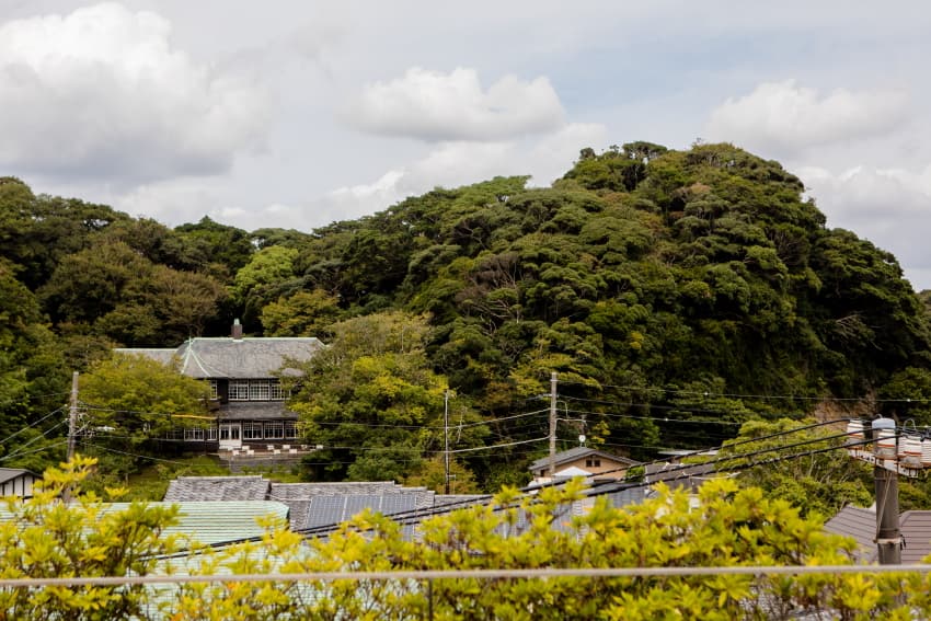 緑の山に囲まれた古い建物と周辺の街並みを見渡す風景