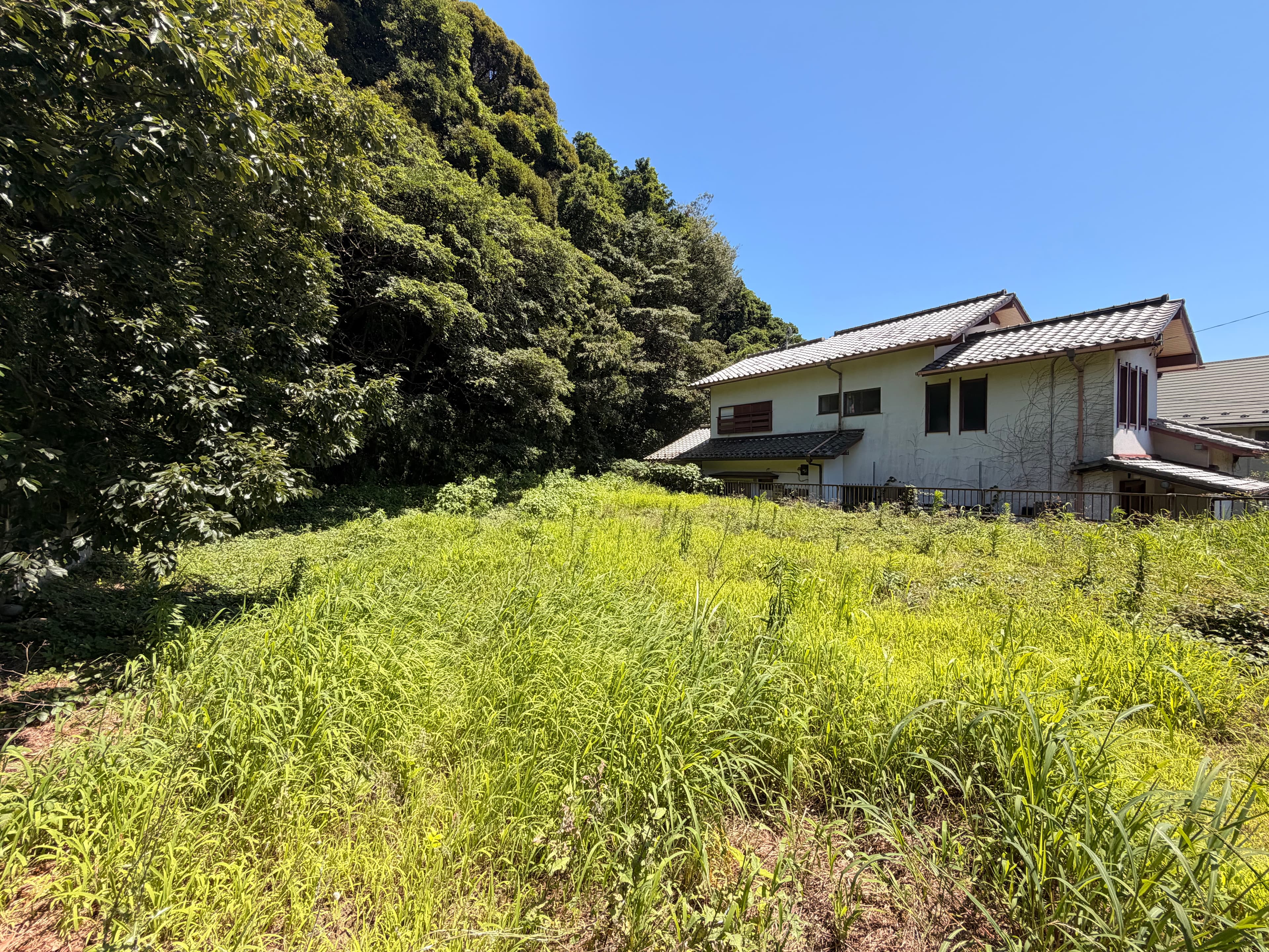 逗子市小坪7丁目土地